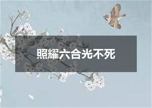 照耀六合光不死