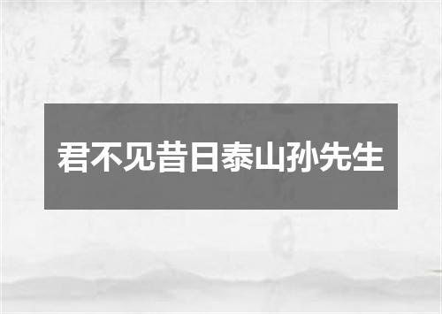 君不见昔日泰山孙先生