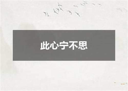 此心宁不思