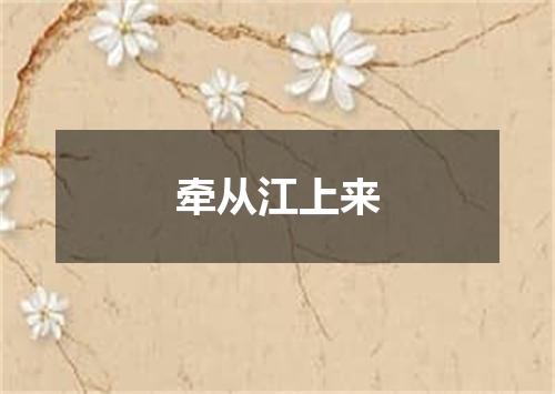 牵从江上来