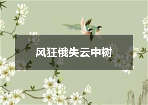 风狂俄失云中树