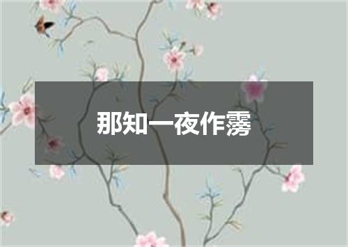 那知一夜作霶