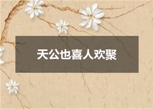 天公也喜人欢聚