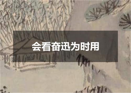 会看奋迅为时用