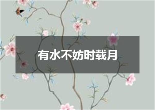 有水不妨时载月