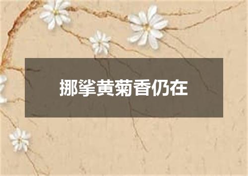 挪挲黄菊香仍在
