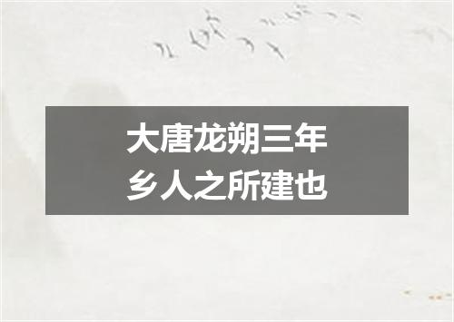 大唐龙朔三年乡人之所建也