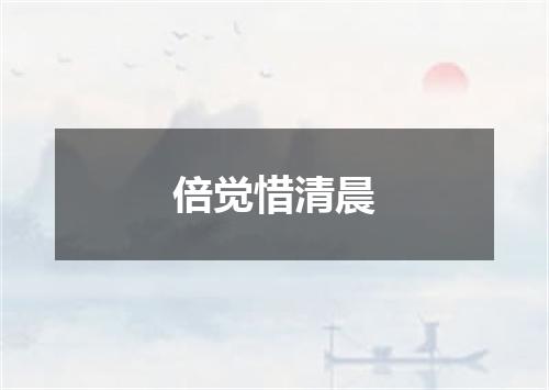 倍觉惜清晨