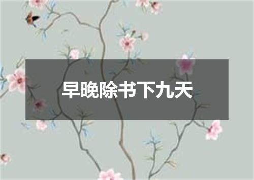 早晚除书下九天
