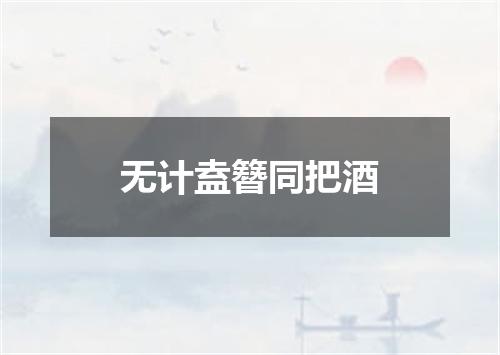 无计盍簪同把酒