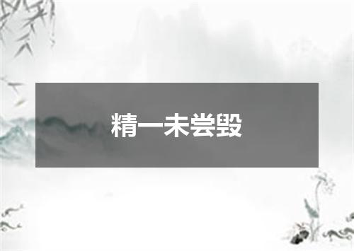 精一未尝毁