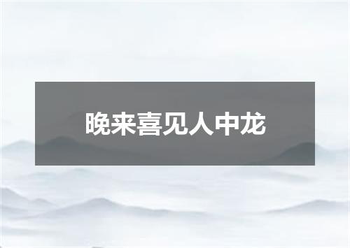 晚来喜见人中龙