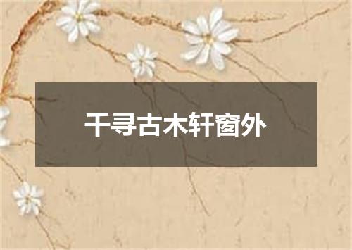 千寻古木轩窗外