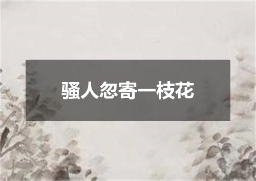 骚人忽寄一枝花