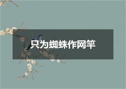 只为蜘蛛作网竿
