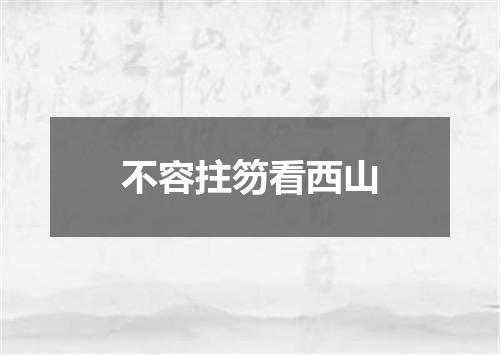 不容拄笏看西山