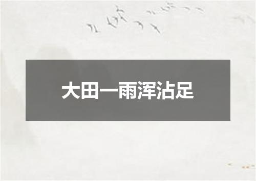 大田一雨浑沾足