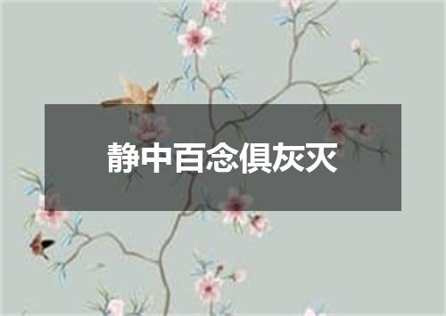 静中百念俱灰灭