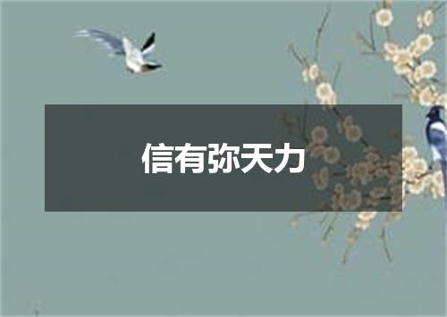 信有弥天力