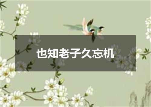 也知老子久忘机