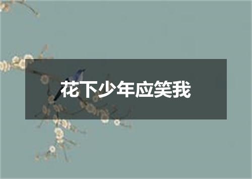 花下少年应笑我