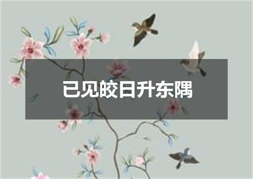 已见皎日升东隅