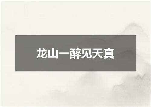 龙山一醉见天真