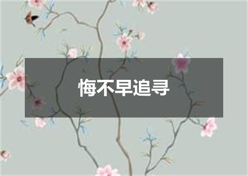 悔不早追寻