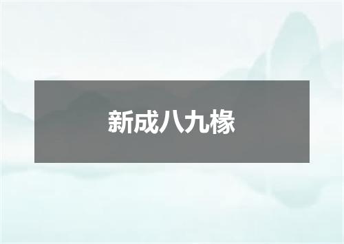 新成八九椽