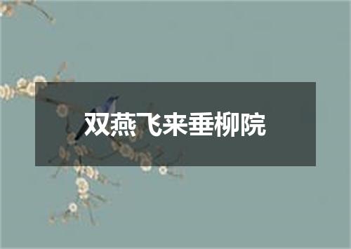 双燕飞来垂柳院