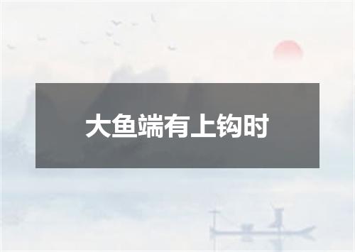 大鱼端有上钩时