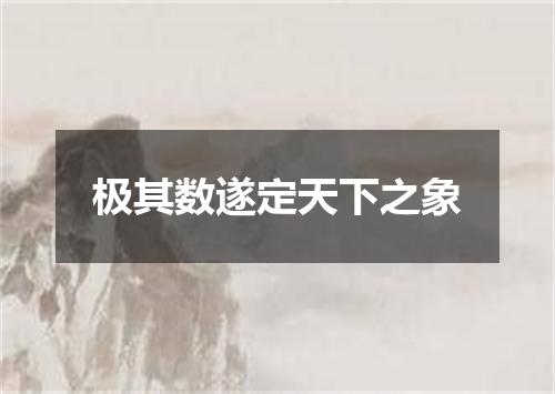 极其数遂定天下之象