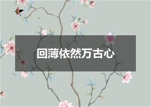 回薄依然万古心