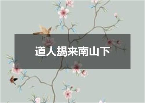 道人朅来南山下