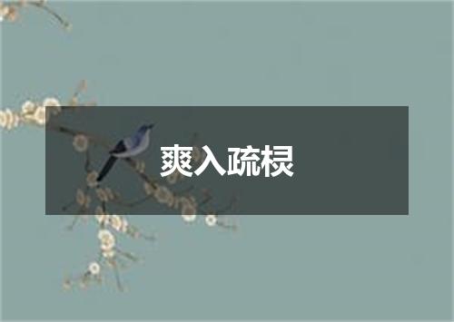 爽入疏棂