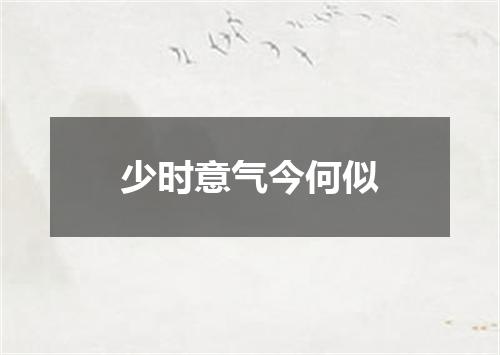 少时意气今何似