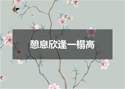 憩息欣逢一榻高