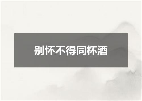 别怀不得同杯酒