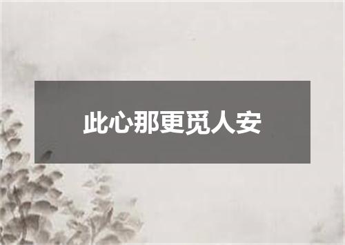 此心那更觅人安