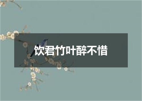 饮君竹叶醉不惜