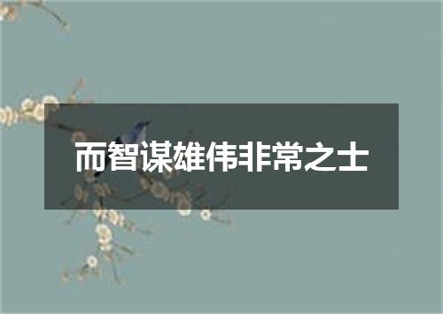 而智谋雄伟非常之士