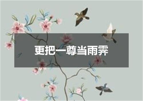 更把一尊当雨霁