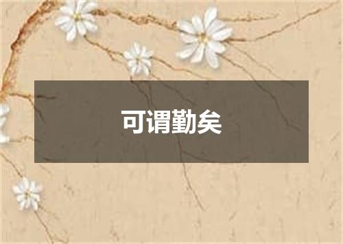 可谓勤矣
