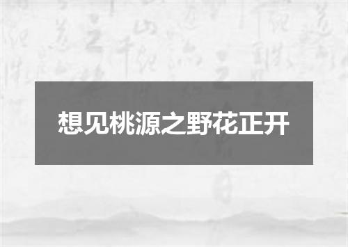 想见桃源之野花正开