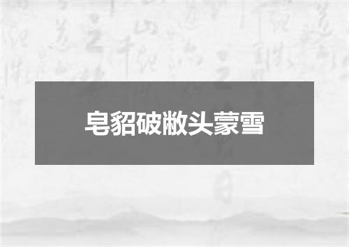 皂貂破敝头蒙雪