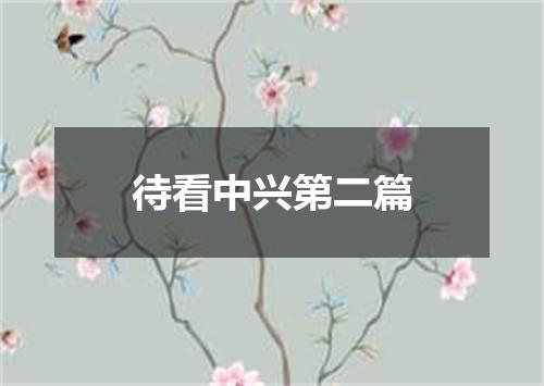 待看中兴第二篇