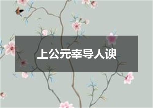上公元宰导人谀