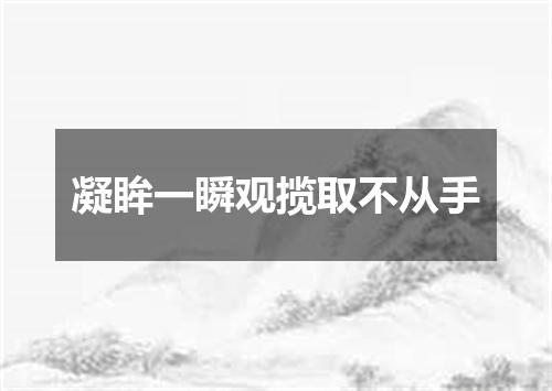 凝眸一瞬观揽取不从手