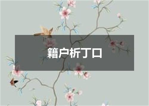 籍户析丁口