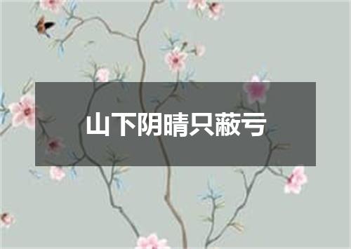 山下阴晴只蔽亏